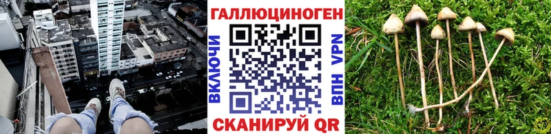 Галлюциногенные грибы MAGIC MUSHROOMS KRAKEN ссылка Устюжна