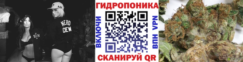 магазин    Устюжна  Бошки марихуана Amnesia 